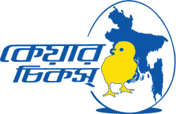 Care Chicks